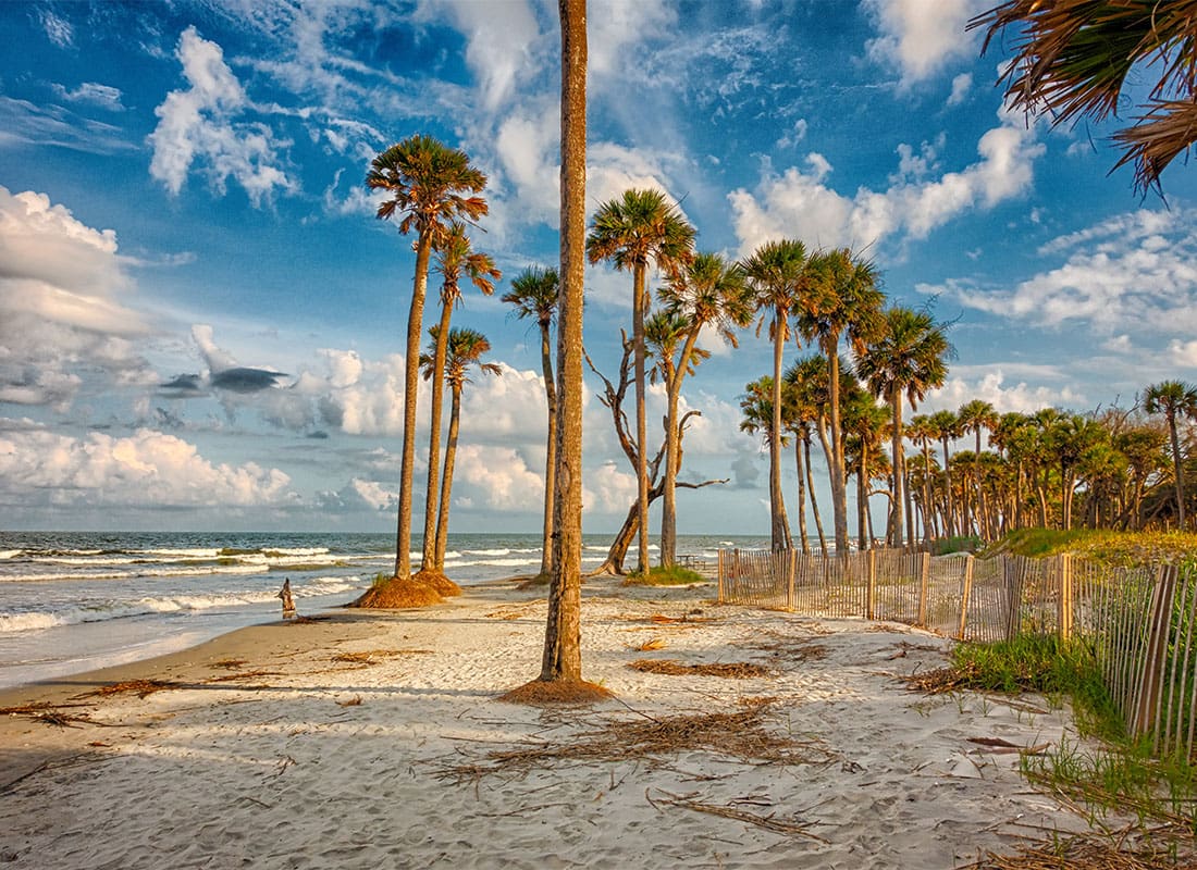 Isle of Palms, SC - Scenic View of Palm Trees on the Beach Against a Cloudy Blue Sky at Sunset on the Isle of Palms in South Carolina
